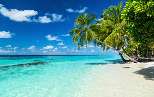 On The Beach Image